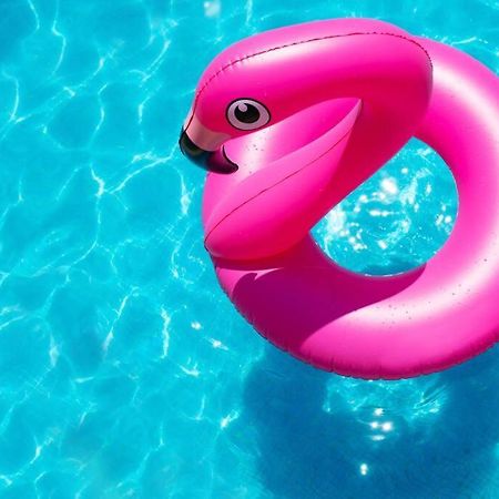 Le Palmier Bleu, Cocon Tropical, Plage & Piscine Anse Marcel Zewnętrze zdjęcie
