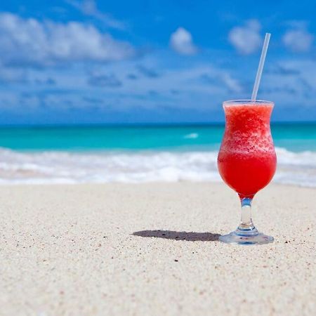 Le Palmier Bleu, Cocon Tropical, Plage & Piscine Anse Marcel Zewnętrze zdjęcie