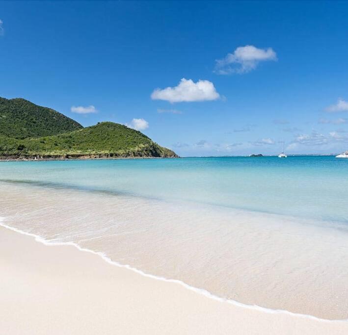 Le Palmier Bleu, Cocon Tropical, Plage & Piscine Anse Marcel Zewnętrze zdjęcie